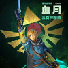 фотография Link Trial of the Sword