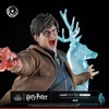 фотография Ikigai Harry Potter