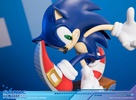 фотография Sonic The Hedgehog COLLECTOR'S EDITION