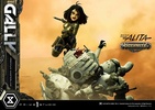 фотография Premium Masterline (PMABA-03UT) Gally