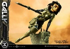 фотография Premium Masterline (PMABA-03) Gally