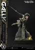 фотография Premium Masterline (PMABA-03) Gally