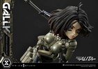 фотография Premium Masterline (PMABA-03) Gally
