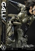 фотография Premium Masterline (PMABA-03) Gally