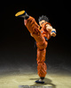 фотография S.H.Figuarts Yamcha - One of the Most Powerful People on Earth-