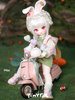 фотография Candy