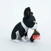 фотография Sofvimates Iggy
