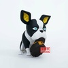 фотография Sofvimates Iggy