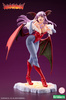 фотография DARKSTALKERS Bishoujo Statue Morrigan Limited Edition