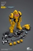 фотография JOYTOY x Warhammer 40000 Imperial Fists Intercessors: Brother Marine 2023 ver.