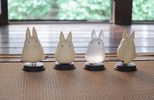 фотография Small Totoro 4