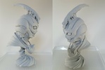 фотография Aptom Bust