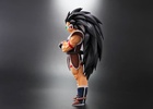 фотография Dragon Ball Arise Raditz