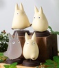фотография Small Totoro 4