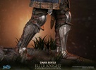 фотография Elite Knight Exploration Edition