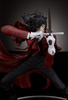 фотография POP UP PARADE Alucard L Size