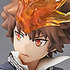 POP UP PARADE Sawada Tsunayoshi