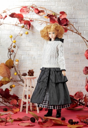 главная фотография Momoko DOLL CCS 22NY