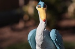 фотография Gray Heron A