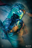 фотография Ekko