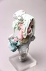 фотография Born from Fingertips / Togetoge, Nuinui, Bust