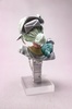 фотография Born from Fingertips / Togetoge, Nuinui, Bust