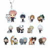 фотография Jujutsu Kaisen Tobu Zoo Collaboration Trading Chibi Chara Acrylic Keychain: Mahito