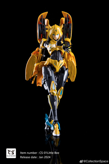 главная фотография CS-01 Little Bee