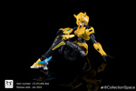 фотография CS-01 Little Bee
