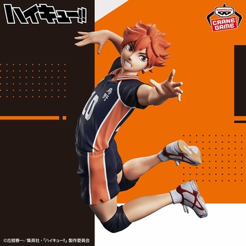 главная фотография Posing Figure Hinata Shouyou