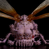 фотография KT Project Ushiabu (small) Movie Color Ver.