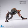 фотография Hiya Exquisite Basic Skullcrawler