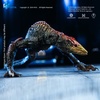 фотография Hiya Exquisite Basic Skullcrawler
