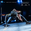 фотография Hiya Exquisite Basic Skullcrawler