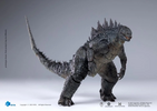 фотография Hiya Exquisite Basic Godzilla (Godzilla 2014)