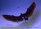 фотография Hiya Exquisite Basic Rodan Flameborn
