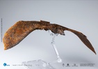 фотография Hiya Exquisite Basic Rodan Flameborn
