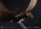 фотография Hiya Exquisite Basic Rodan Flameborn