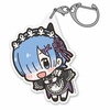 фотография Re:ZERO -Starting Life in Another World- Acrylic Pinched: Rem