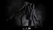 фотография Queen MUTO
