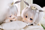 фотография PICCODO x White Box Alice Grey Leaf
