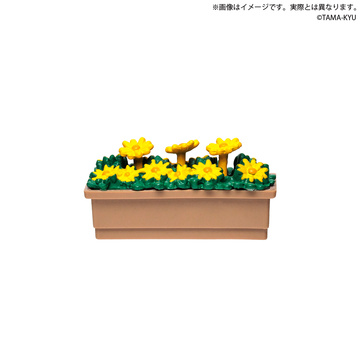 главная фотография Desktop Planting Club: Margaret Yellow Ver.