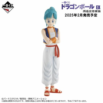 главная фотография Ichiban Kuji Dragon Ball EX Son Goku Shugyou-hen: Bulma