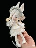 фотография Inedible Doll Bunnies: Dreams about Her