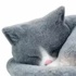 Dazzling cat:  Hands Hiding - Black Cat