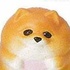 Animal Attraction Mocchiri Wanko Camp: Pomeranian rowing a boat