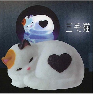 главная фотография Tenori light cat: Calico cat