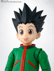 фотография S.H.Figuarts Gon