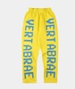 vertabrae