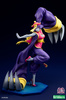 фотография DARKSTALKERS Bishoujo Statue Lei Lei